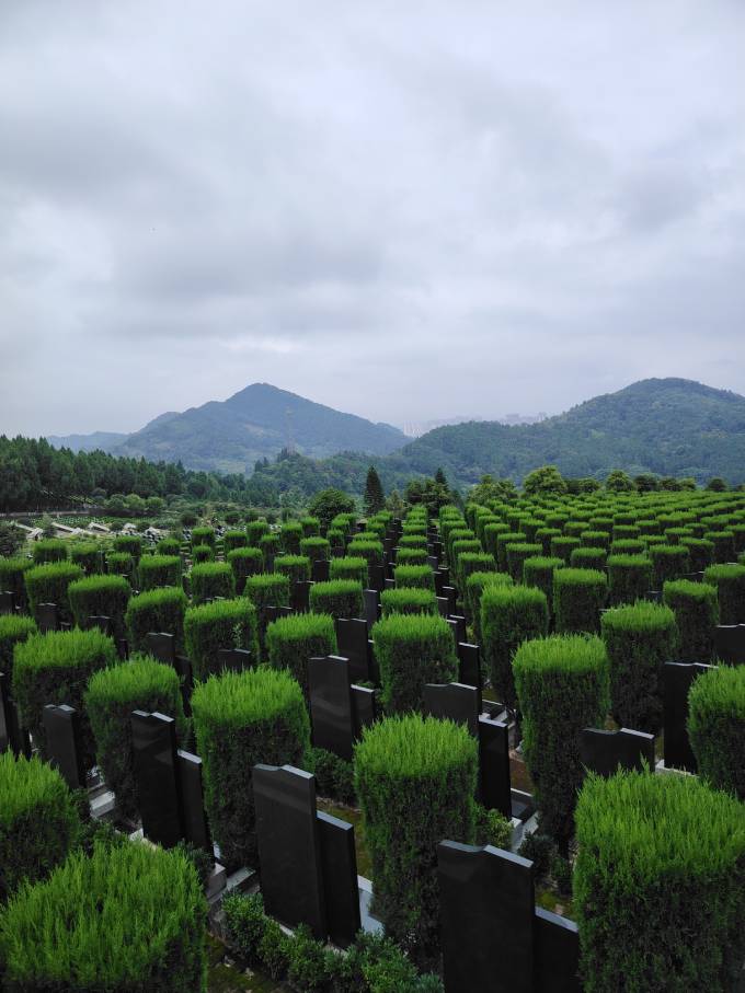 燃灯寺公墓园区实景五
